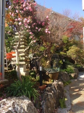 サリータ ソプラの物件内観写真