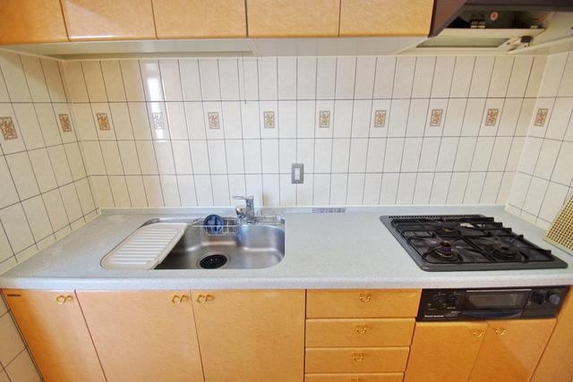 ドメス向ヶ丘遊園ジャルディーノの物件内観写真