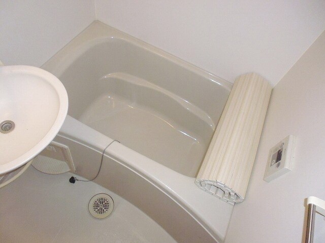 ハイビスカスの物件内観写真