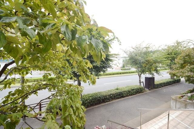 キャッスルヒルズの物件内観写真