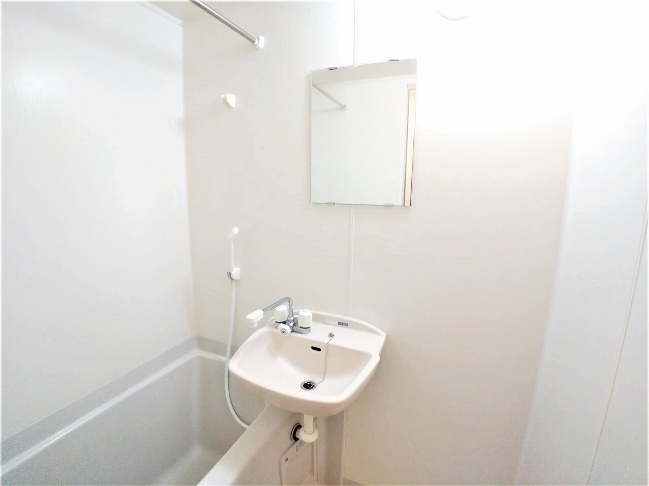 レオネクストセレーネの物件内観写真