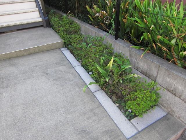 小石川ハイツの物件内観写真