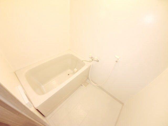 カーサデシノセの物件内観写真