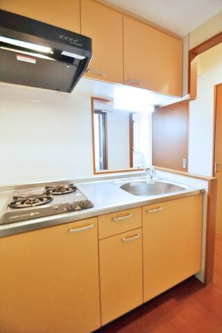 プレジールSの物件内観写真