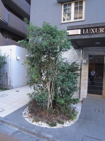 ラグジュアリーアパートメントデュオ神楽坂の物件内観写真