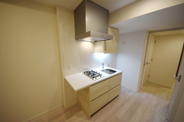 ザ・パークワンズ神田の物件内観写真