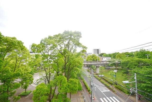 ライジングプレイス綾瀬三番館の物件内観写真