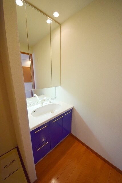 ロイヤルパークス新田の物件内観写真