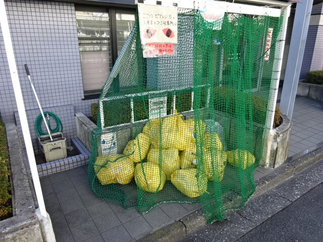 ピアレジアオヤマVの物件内観写真