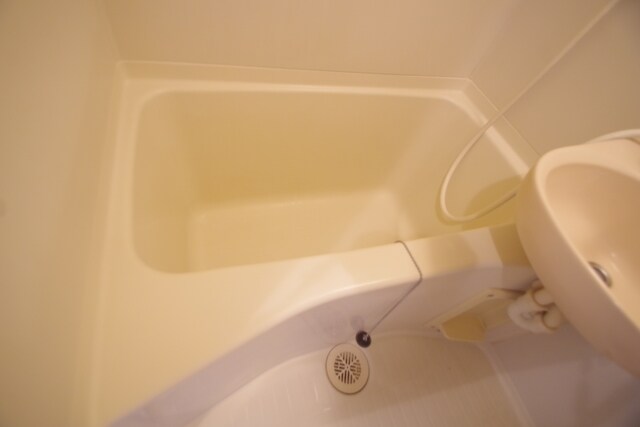 日神パレステージ小田急相模原の物件内観写真