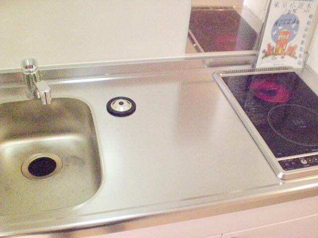 レオネクストセレーネの物件内観写真