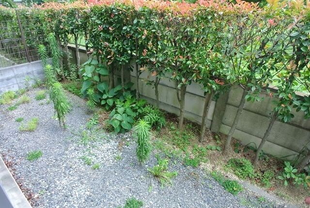 クレストの物件内観写真