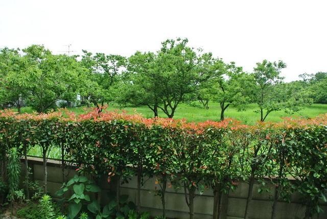 クレストの物件内観写真