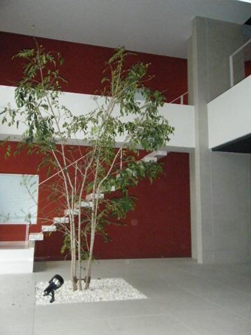 ルモーデ亀戸の物件内観写真