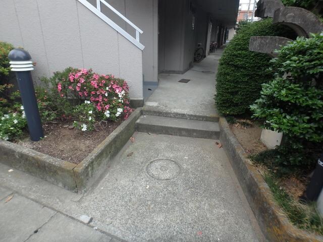 カサ・デ・センテレオの物件内観写真