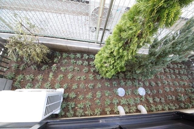 CITY STAGE CUREの物件内観写真