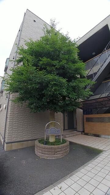 アーバン大成の物件内観写真