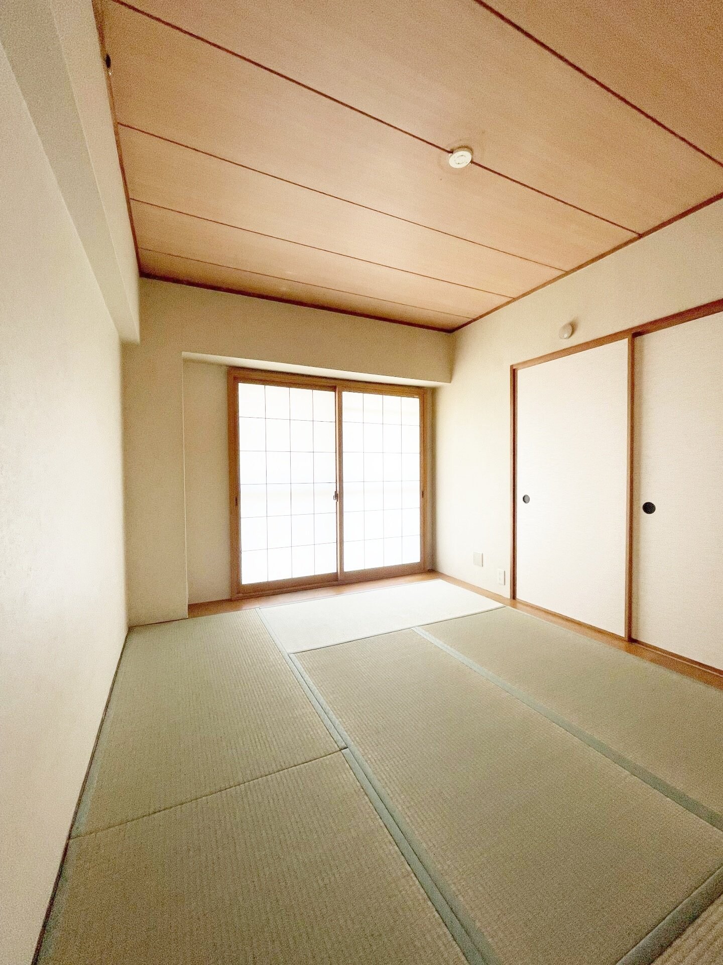 グリーンコーポ川口B棟の物件内観写真