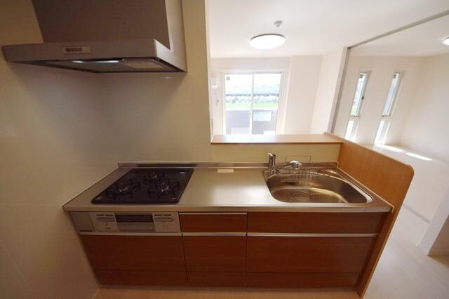 ロイジェントパークスレイクタウン II Gの物件内観写真