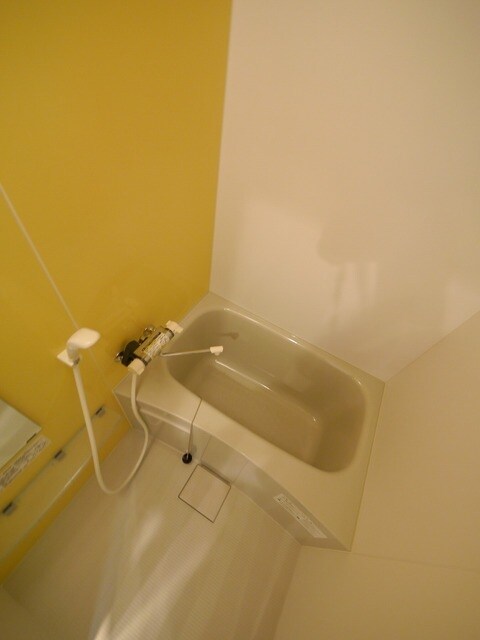 カシュカシュ 917306の物件内観写真