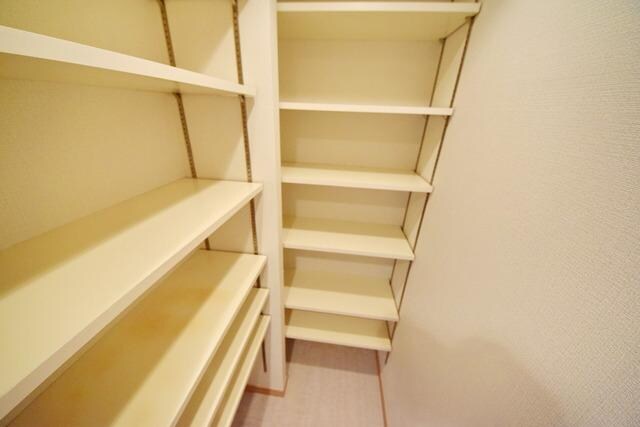 KDXレジデンス成城の物件内観写真