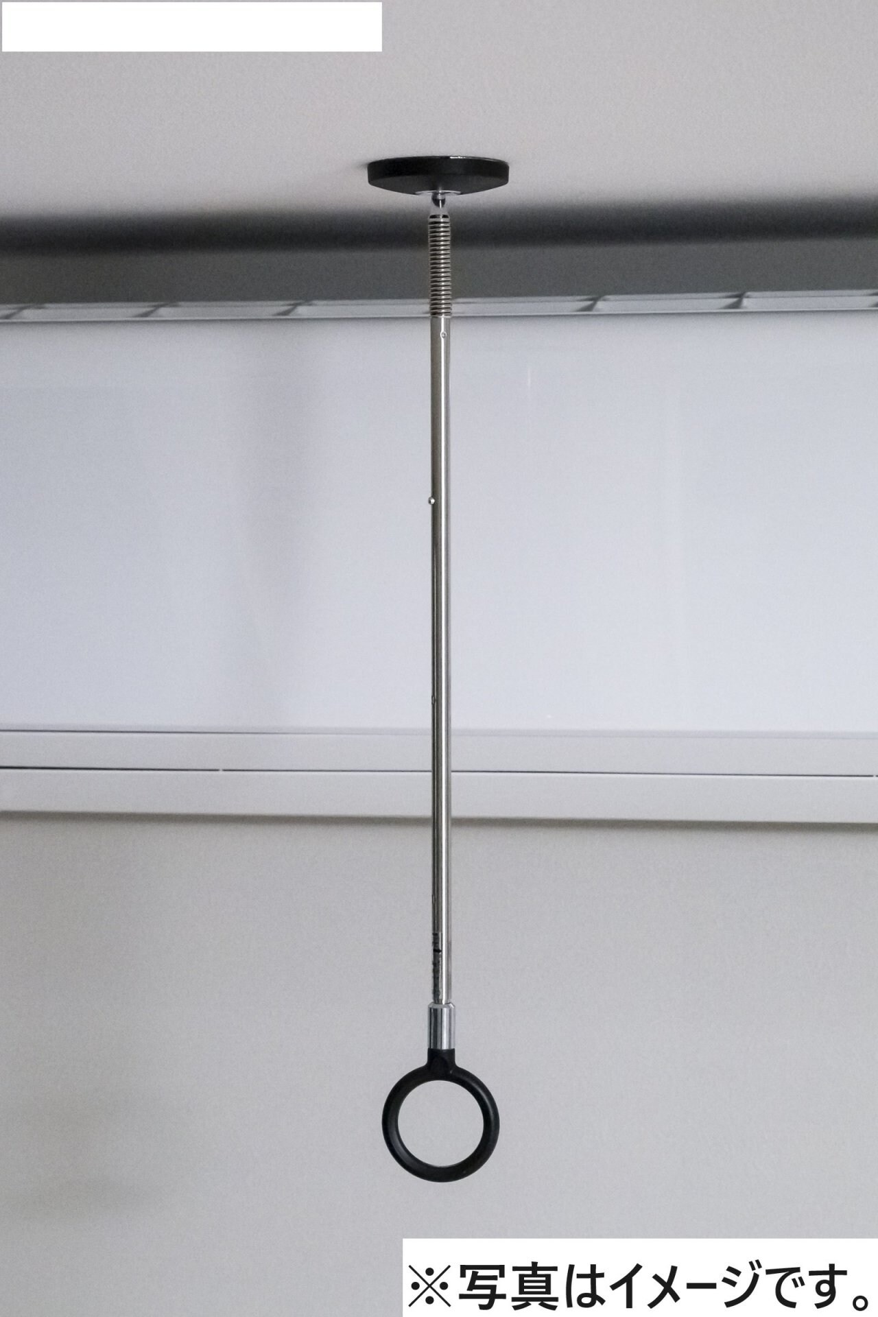 robot home 蒲生(ロボットホームガモウ)の物件内観写真