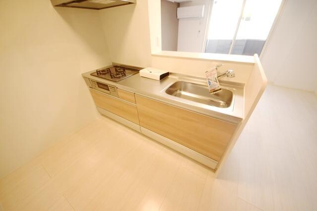 ロイジェントパークスレイクタウンIII L棟の物件内観写真