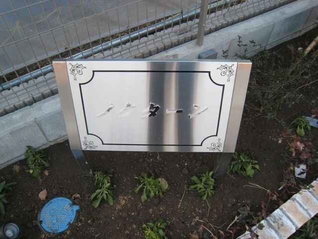 ノクターン の物件内観写真