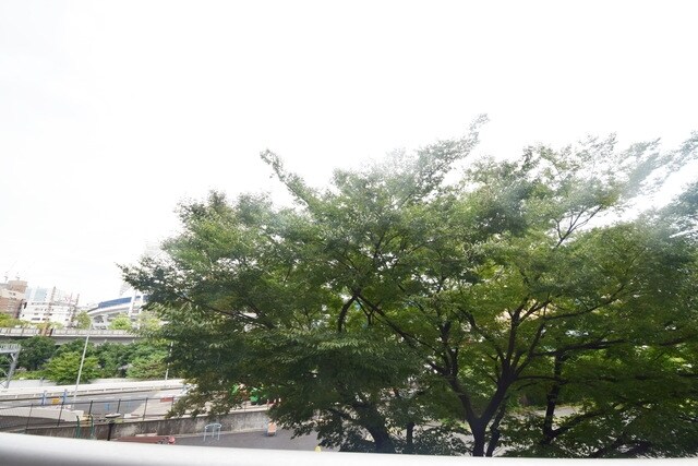 パークフラッツ横濱公園の物件内観写真