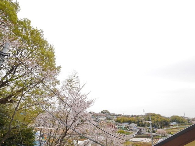 ラ・トゥール横濱小机の物件内観写真