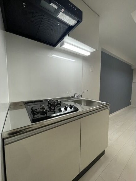 VERITAS SHIRAKANEの物件内観写真