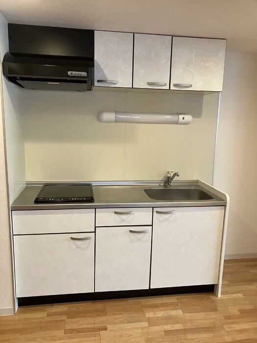 カスタリア一番町 WESTの物件内観写真