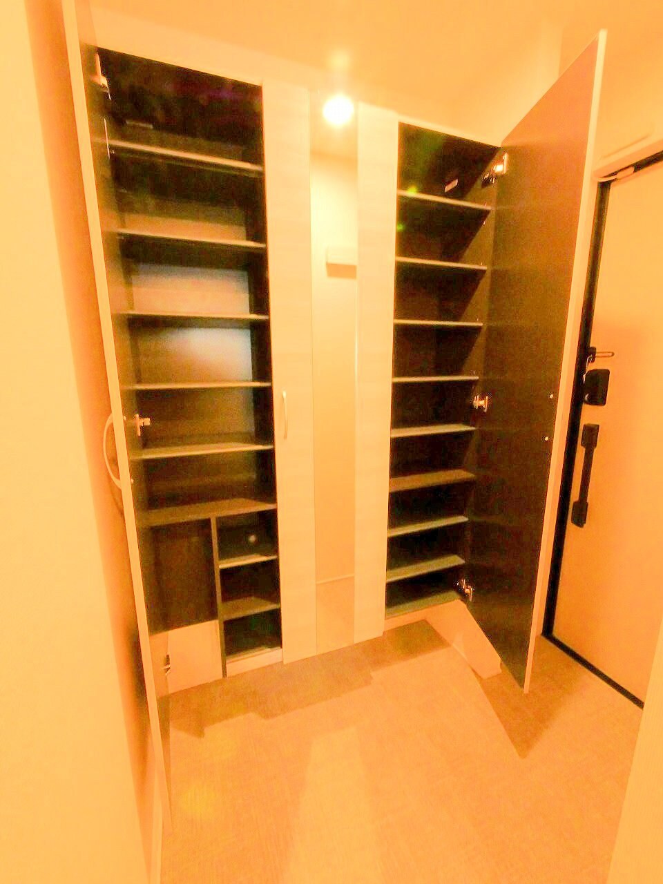 D-ROOM荒井1丁目の物件内観写真