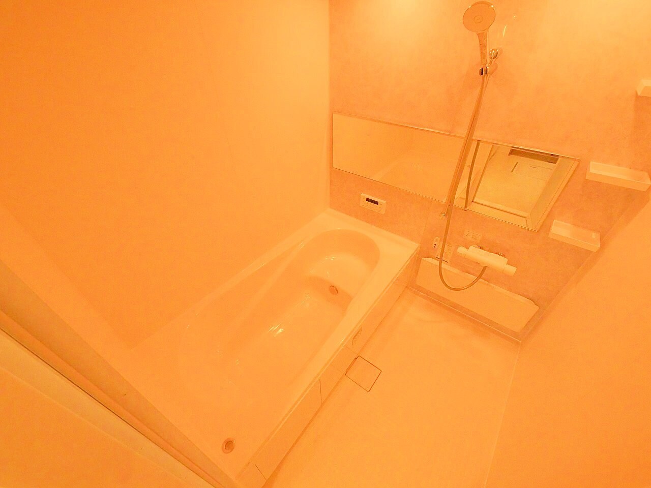 D-ROOM荒井1丁目の物件内観写真