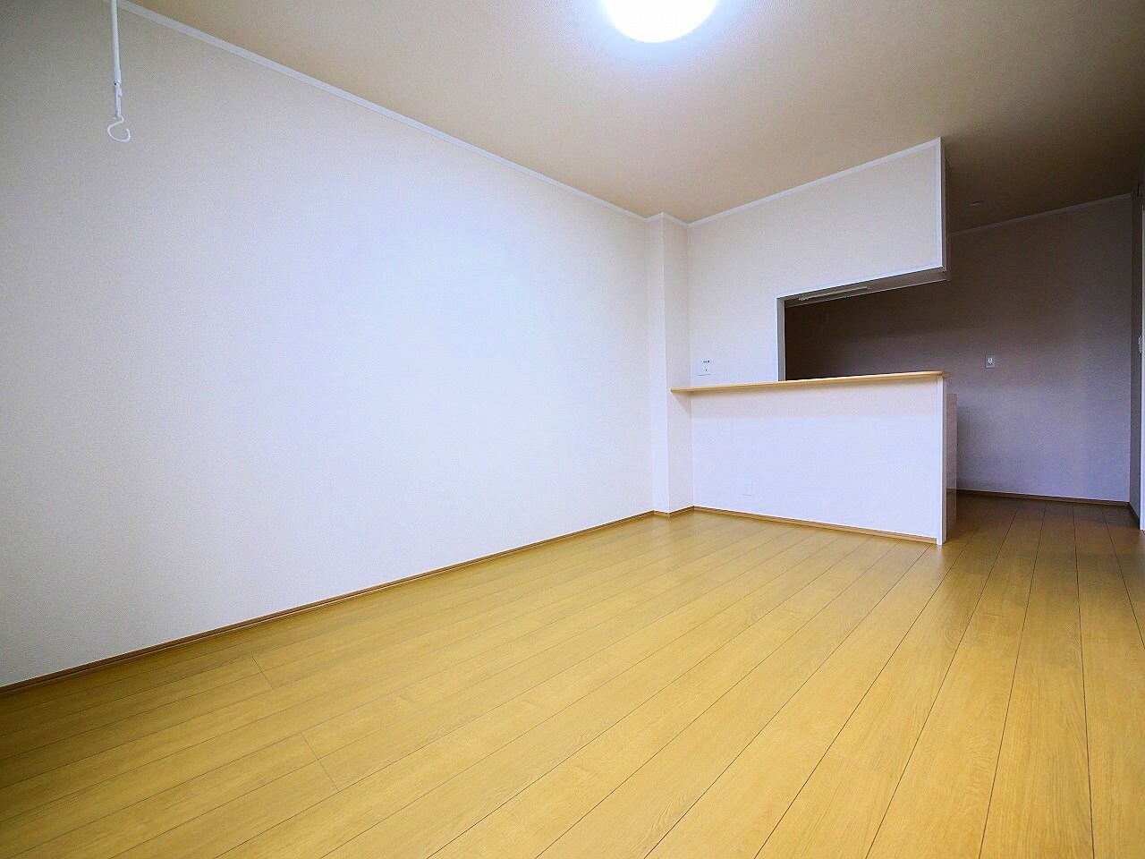 メゾン・ド・ハシヌマCの物件内観写真