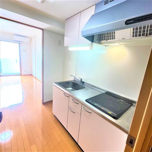 レーベンス柏木の物件内観写真