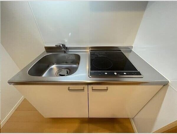 プラチナスイート西公園駅South Gardenの物件内観写真