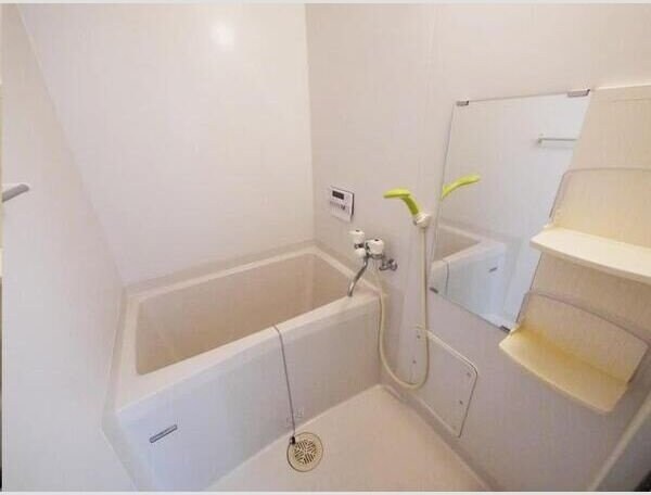 ラフィネ小鶴新田の物件内観写真