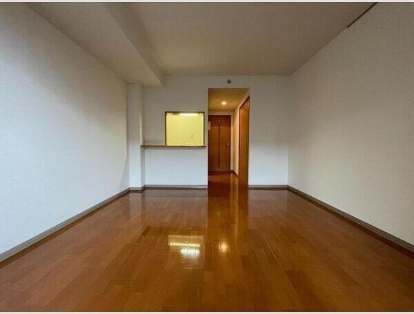 ラフィネ小鶴新田の物件内観写真