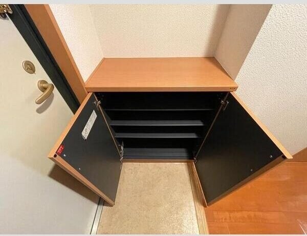 ラフィネ小鶴新田の物件内観写真