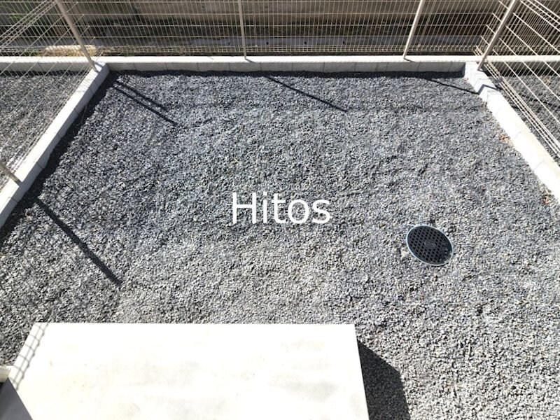 Villa Sieger(ヴィラ ジーガー) Bの物件内観写真