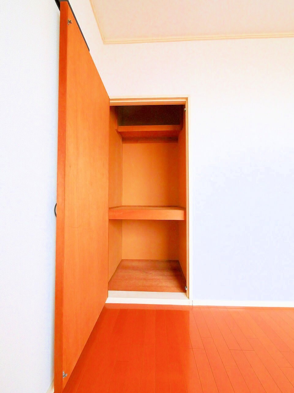 星ハイツの物件内観写真