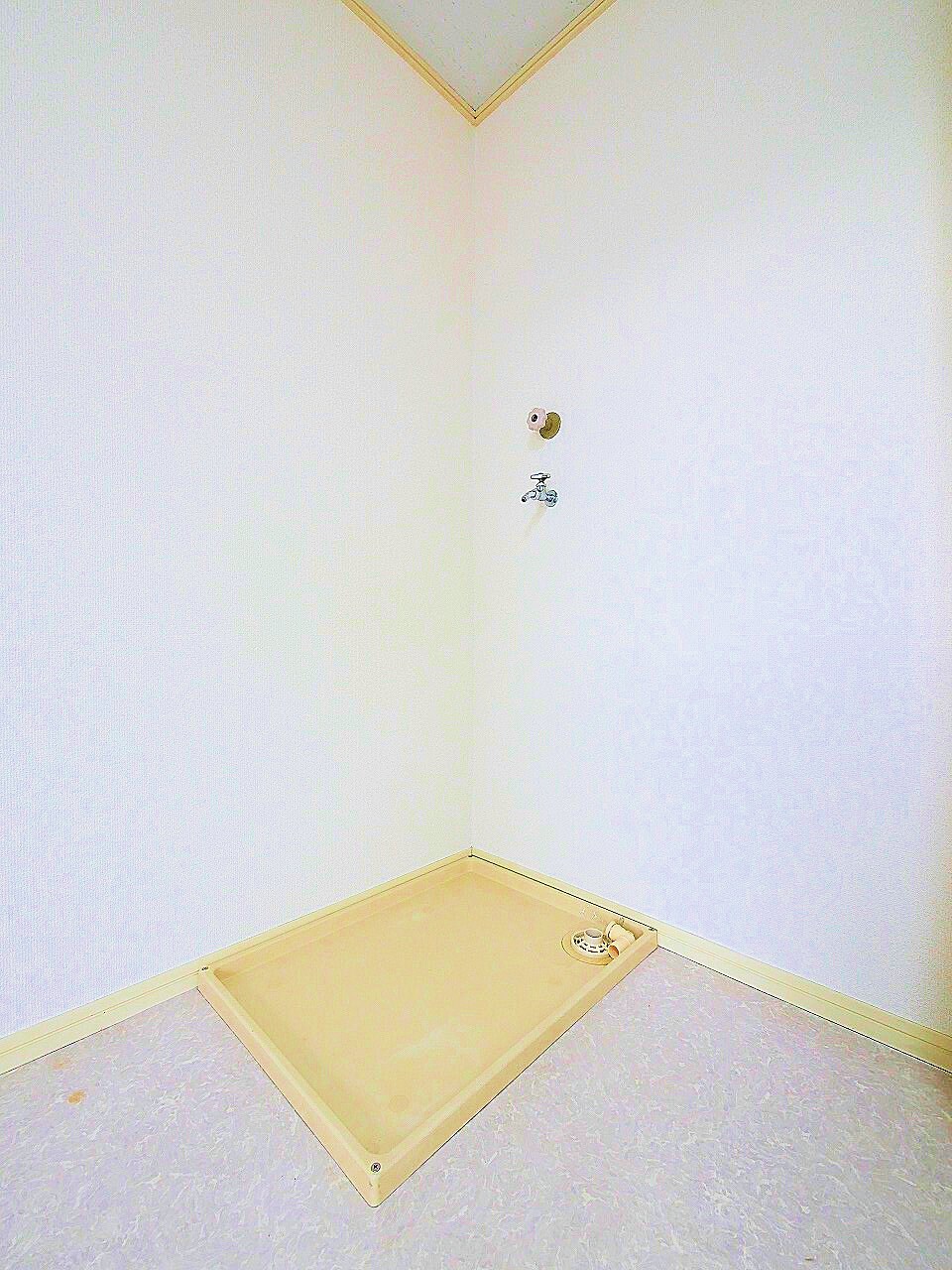 星ハイツの物件内観写真