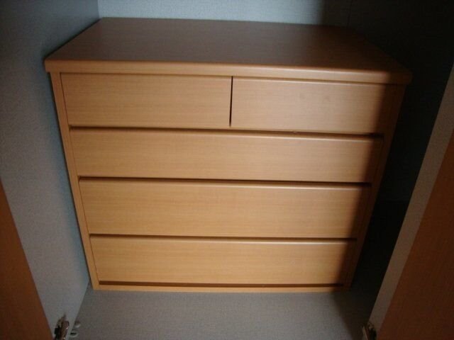 ヒーリングカーサAの物件内観写真