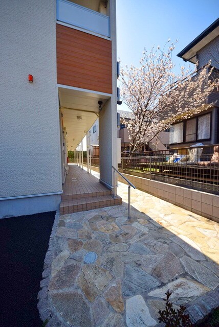 レオネクストシュエットフルールの物件内観写真