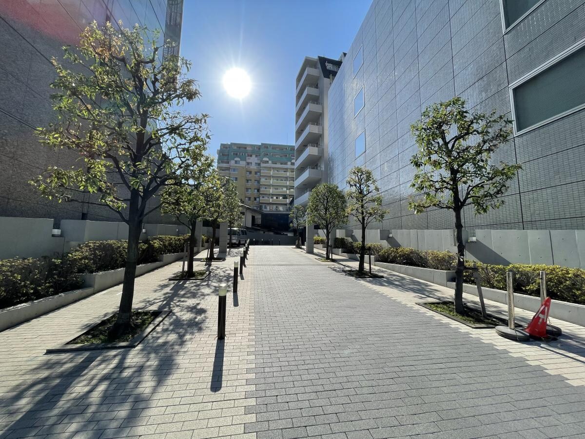 カスタリア高輪の物件内観写真