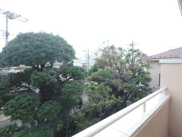 ミッテルドルフ新江古田の物件内観写真