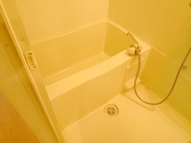 ステラメゾン荻窪の物件内観写真