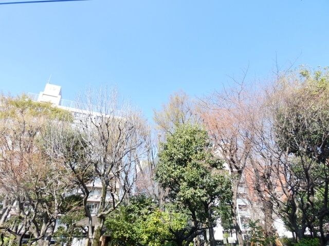 CielBleu中野坂上(シエルブルー)の物件内観写真