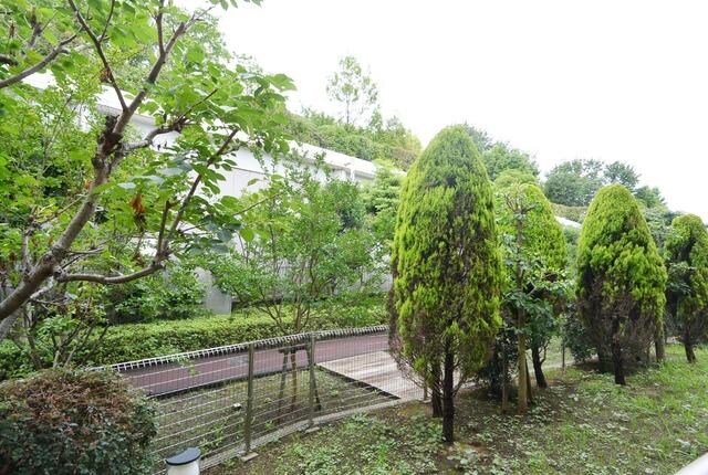 ドルフ喜多見の物件内観写真